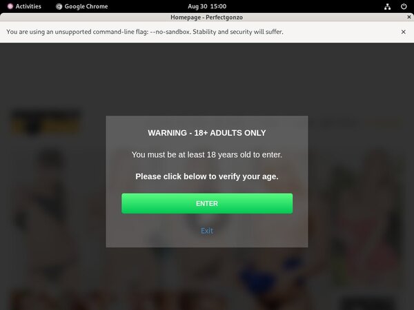 Access Perfect Gonzo Free