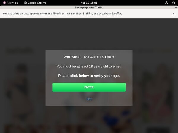 Ass Traffic Blogspot