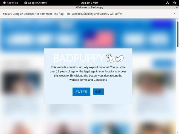 Badpuppy.com Sites Badpuppy.com Sites