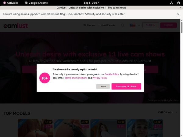 Cam Lust Model Cam Lust Model