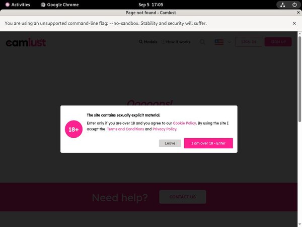 Camlust.com Payment Methods