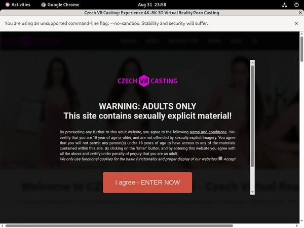 Czech VR Casting Porn Discount