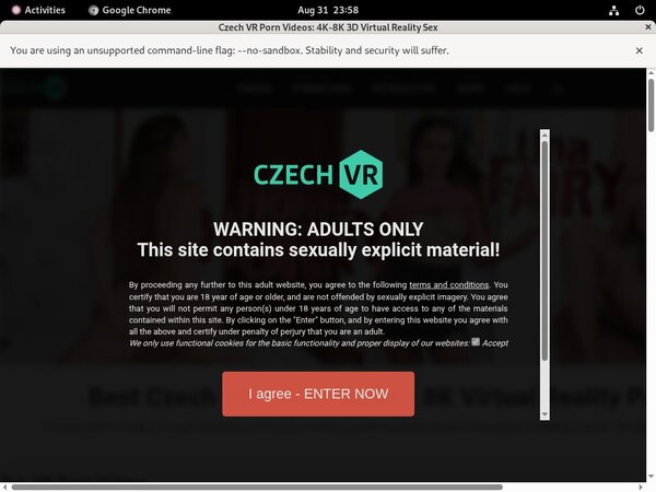 Czechvr X