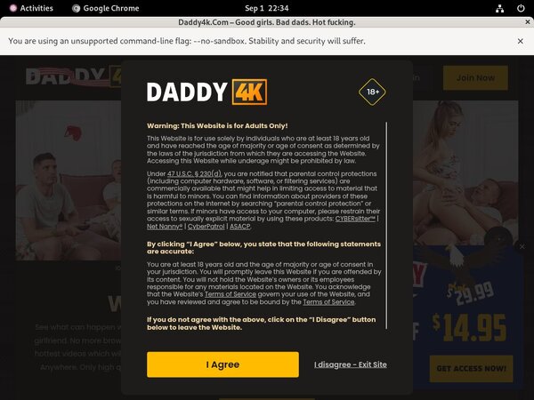 Daddy4k.com Paysite Review