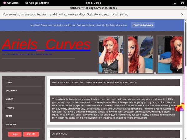 Discount Ariel Link