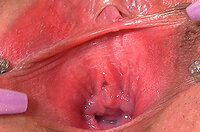 Film Gape My Pussy s0