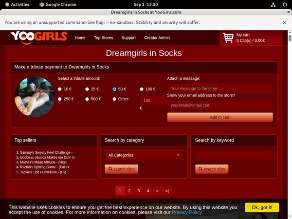 Free DreamgirlsInSocks Account Login
