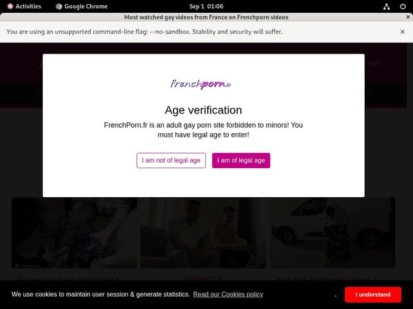Free Frenchporn.fr Logins