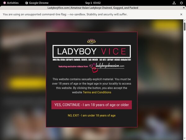 Free Ladyboyvice.com Accounts Premium