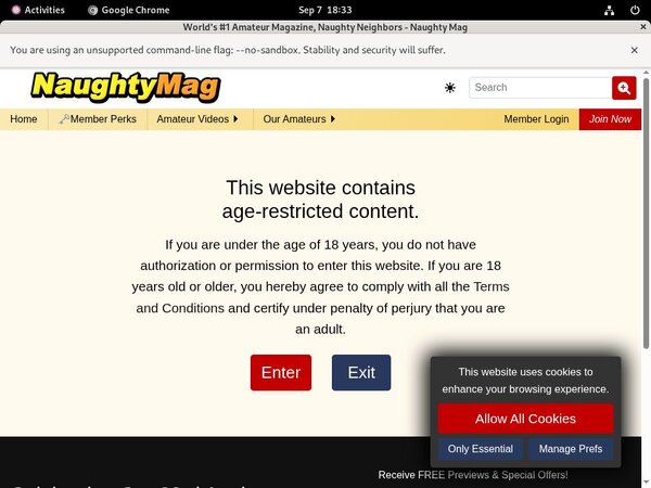 Free Password To Naughty Mag