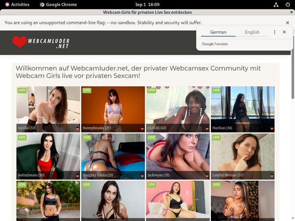 Free Webcamluder.net Passes