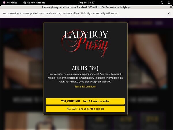 Free Working Ladyboy Pussy Accounts