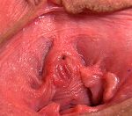 Gape My Pussy Discount Access