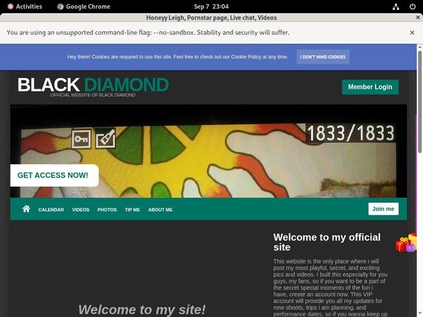 Honeyyleigh.modelcentro.com Dvd