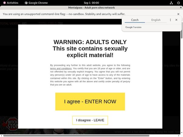 How To Get Free Mental Pass Accounts