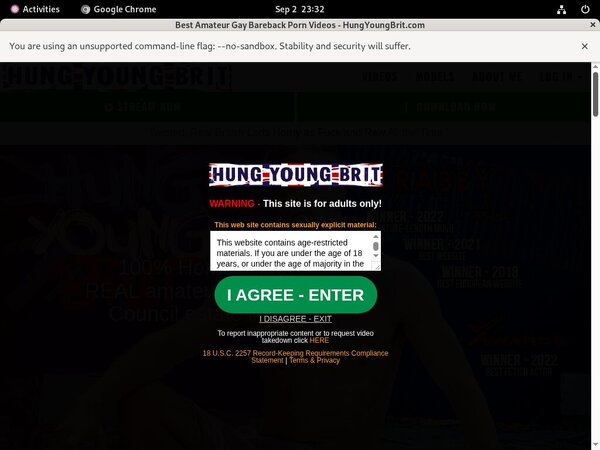 Hungyoungbrit Paypal Offer
