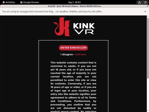 Kink VR Pornstar