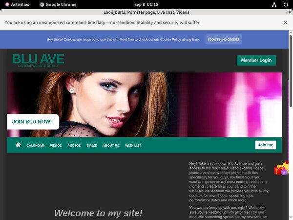 [Image: Ladiiblu13-Epochstats.jpg]