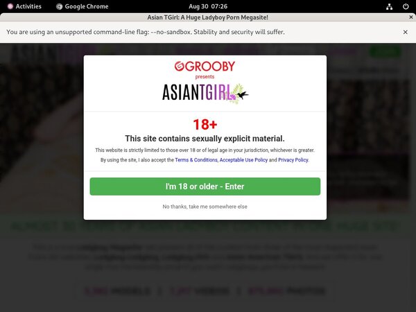 Ladyboy-ladyboy.com Live