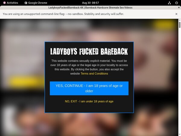 Ladyboys Fucked Bareback Free Trial Url