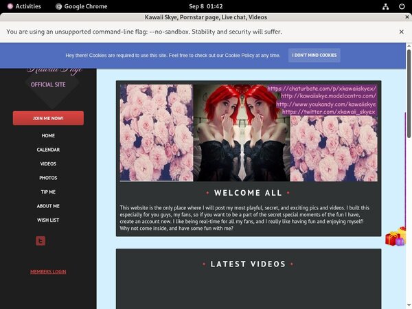 Limited KawaiiSkye Discount Offer Limited KawaiiSkye Discount Offer