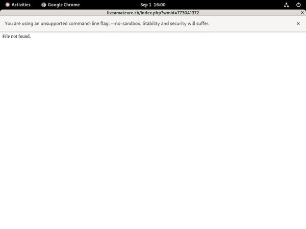 Live Amateure Male Pornstars