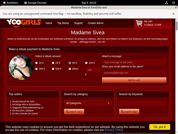 Madame Svea Passwords 2017