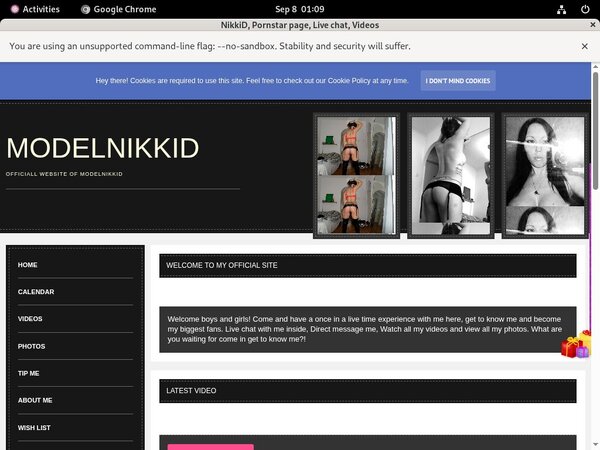 ModelNikki Clips For Sale