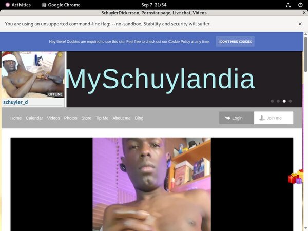 Myschuylandia.com Picture
