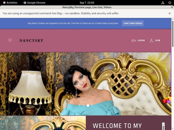 Nancysky.modelcentro.com Account 2016