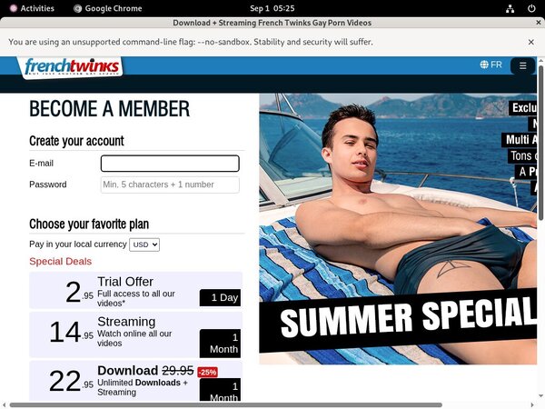 New French Twinks Discount