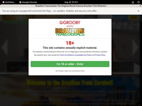 Paypal Brazilian Transsexuals Join Paypal Brazilian Transsexuals Join