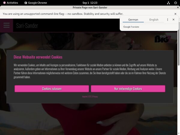 Sari Sander Network Password Sari Sander Network Password