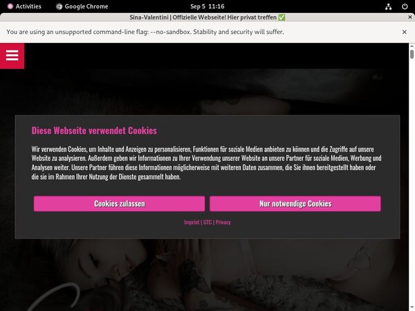 SinaValentini Free Trial Promotion