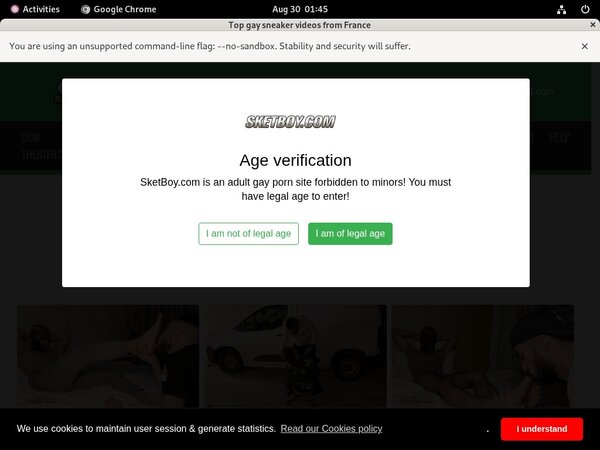 Sketboy Adult Passwords