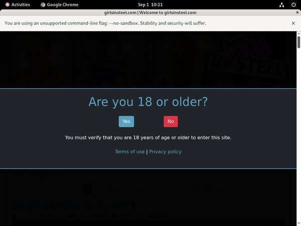 Steel In Girls Login Password