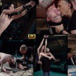 Subspace Land Porn Stars