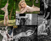 Subspaceland.com Account 2016 s0 Subspaceland.com Account 2016 s0