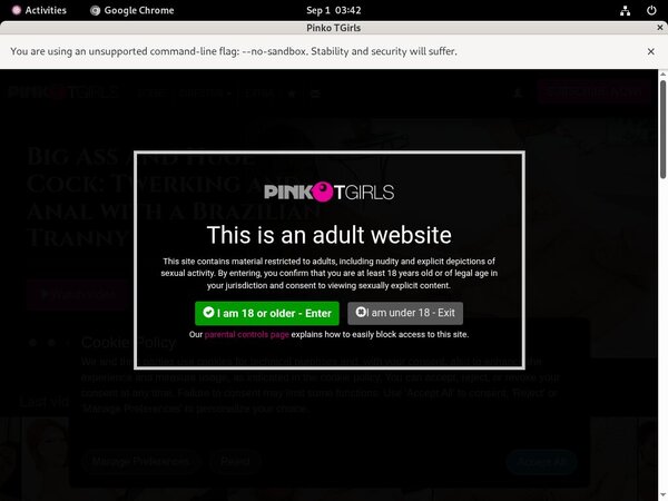 TGirls PinkO Promo