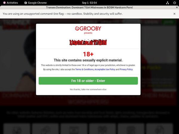 Transexdomination.com Free Logins 2018 Transexdomination.com Free Logins 2018