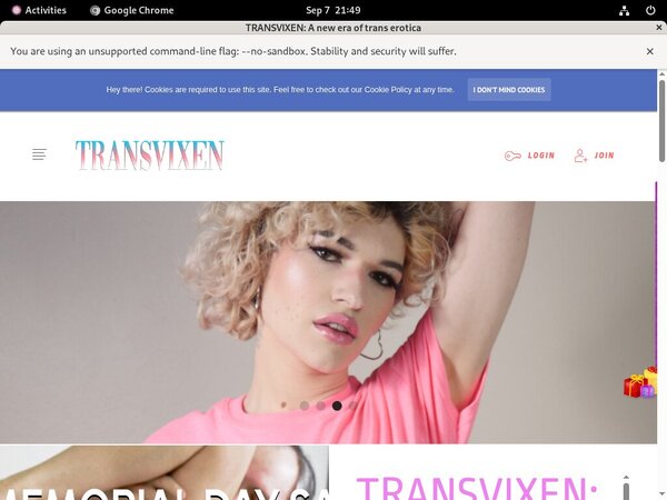 Transvixen.com 2021