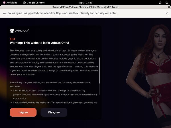 Vrbtrans.com Paypal Epoch