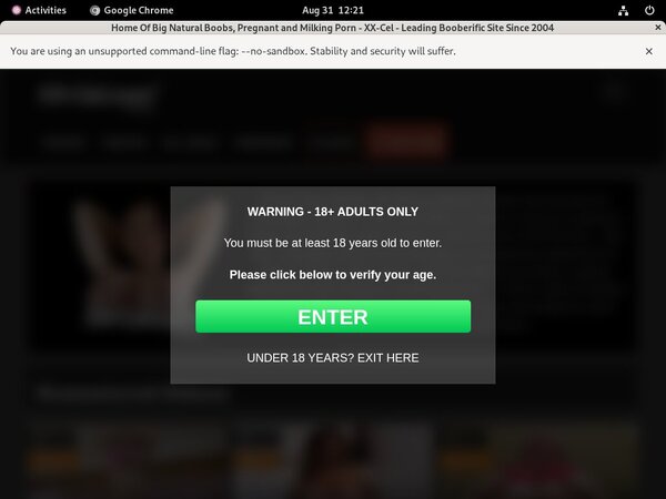 XX-Cel Models XX-Cel Models