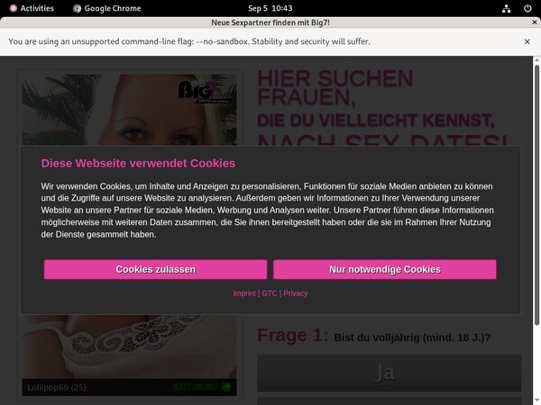 Your Secret Dream Network Login