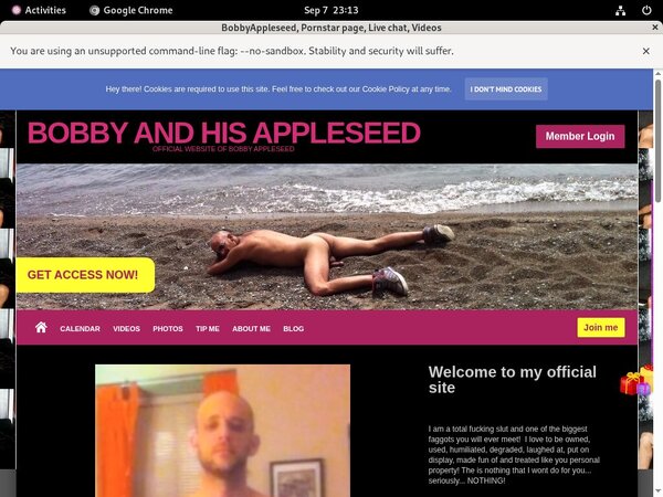 BobbyAppleseed Passes